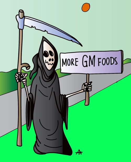 More GM foods.