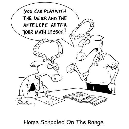 Home Schooled On The Range