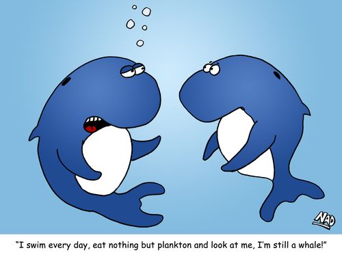 'I swim every day, eat nothing but plankton and look at me, I'm still a whale!' 