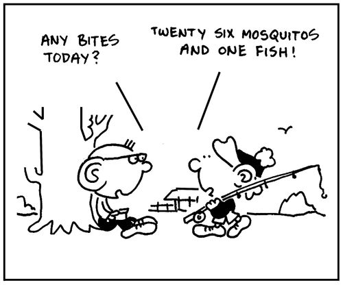 'Twenty six mosquitos and one fish.'