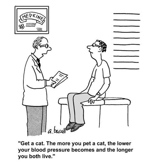 'Get a cat. The more you pet a cat, the lower your blood pressure becomes and the longer you both live.'