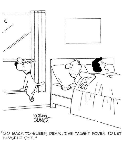 'Go back to sleep, dear. I've taught rover to let himself out.'