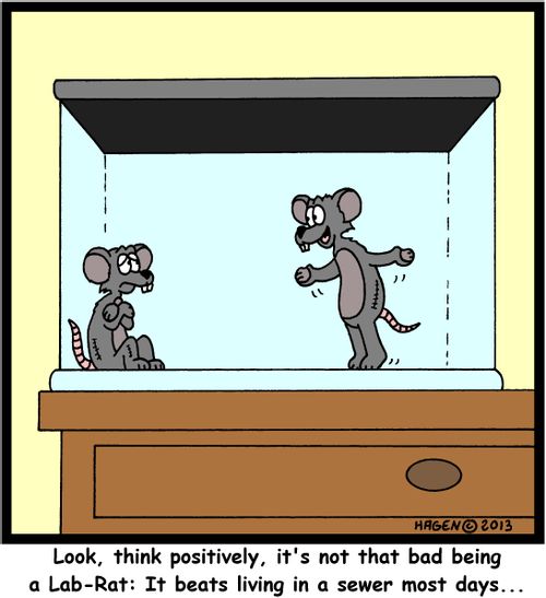 'Look, think positively, it's not that bad being a Lab-Rat: It beats living in a sewer most days...'