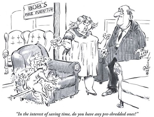 'In the interest of saving time, do you have any pre-shredded ones?'