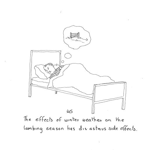 'The effects of winter weather on the lambing season has disastrous side effects.'