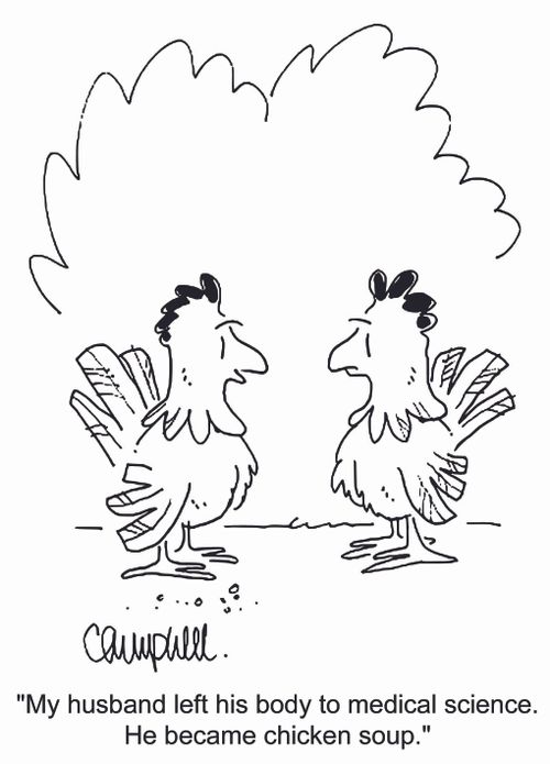 'My husband left his body to medical science. He became chicken soup.'