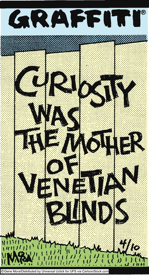 Curiosity was the mother of Venetian blinds.