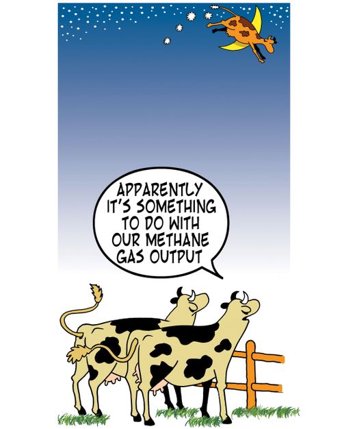 'Apparently it's something to do with our methane gas output.'