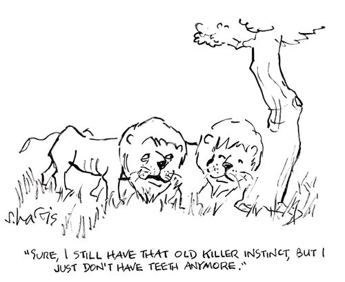 'Sure I still have that old killer instinct,but I just don't have teeth anymore.'
