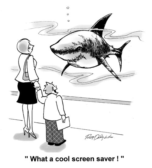 'What a cool screen saver!'