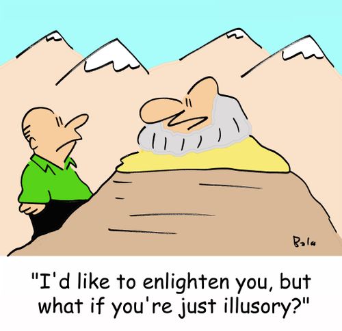 'I'd like to enlighten you, but what if you're just illusory?'