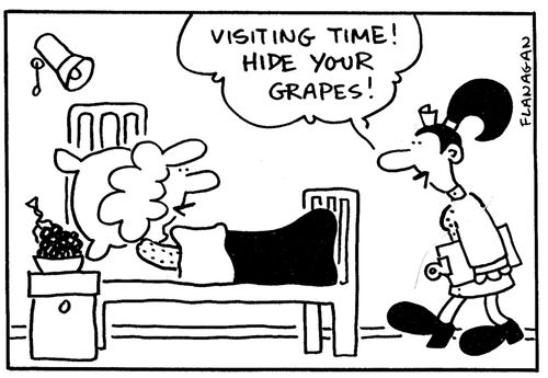 'Visiting time! Hide your grapes!'