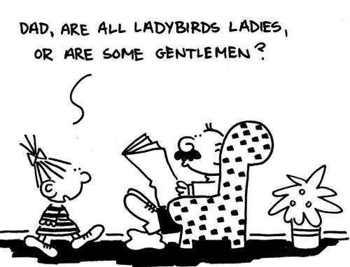 'Dad are all ladybirds ladies, or are some gentlemen?'