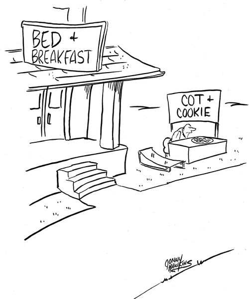 Bed and Breakfast next to Cot and Cookie.