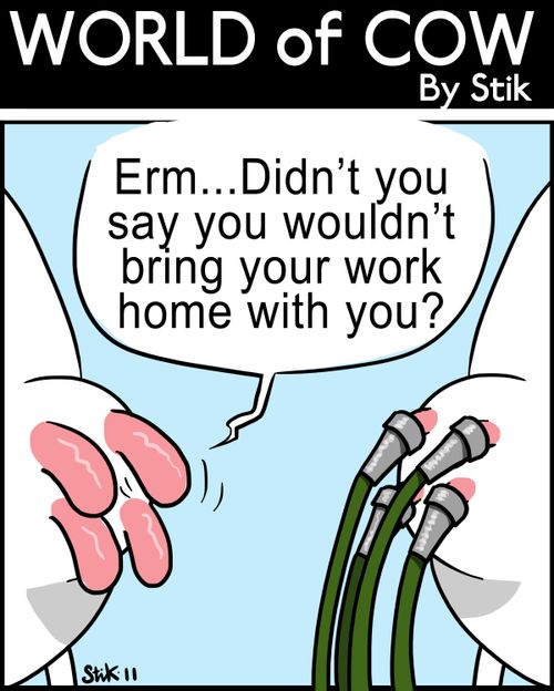 'Erm, didn't you say you wouldn't bring your work home with you?'
