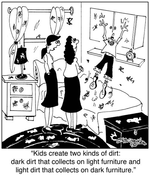 'Kids create two kinds of dirt: dark dirt that collects on light furniture and light dirt that collects on dark furniture.'