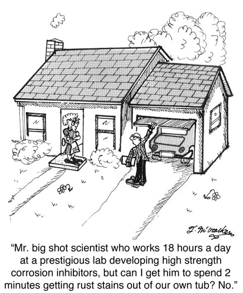 'Mr. big shot scientist who works 18 hours a day at a prestigious lab developing high strength corrosion inhibitors, but can I get him to spend 2 minutes getting rust stains out of our own tub? No.'