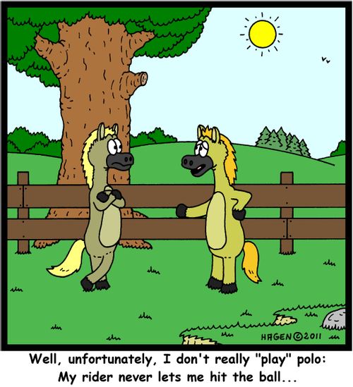 'Well, unfortunately, I don't really 'play' polo: My rider never lets me hit the ball...'