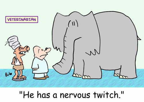 VETERINARIAN, 'He has a nervous twitch.'