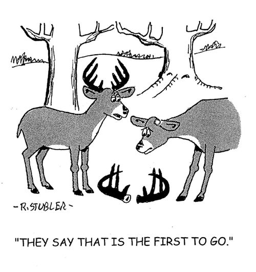 'They say that is the first to go.'