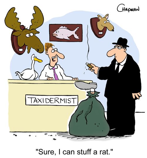 'Sure, I can stuff a rat.'