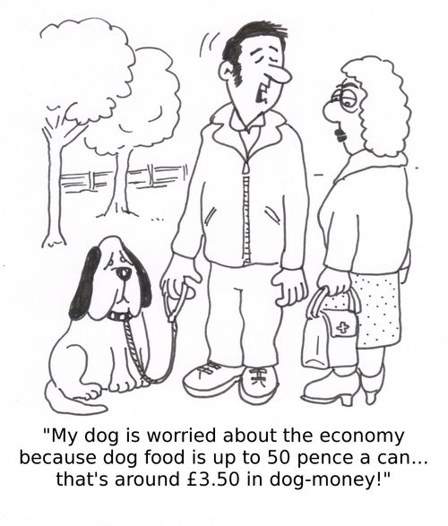 'My dog is worried about the economy because dog food is up to 50p a can... that's about £3.50 in dog money!'