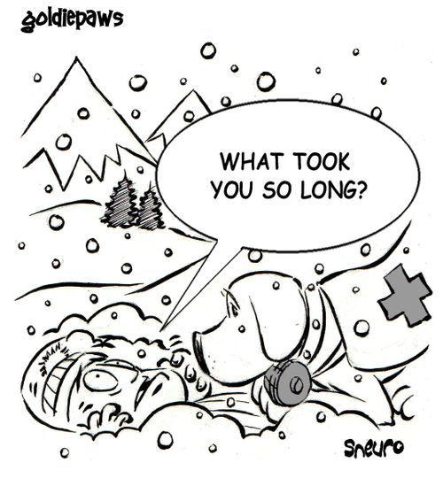 What took you so long? Avalanche rescue.