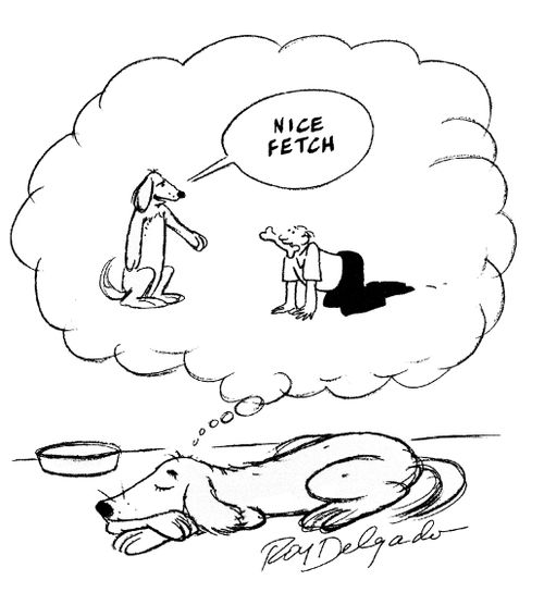 Nice fetch.