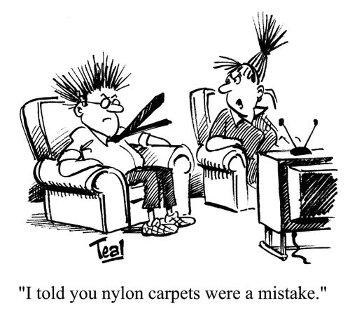 'I told you nylon carpets were a mistake.'