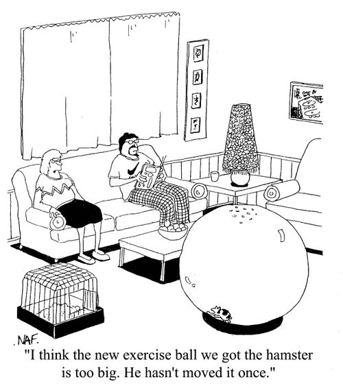 'I think the new exercise ball we got the hamster is too big...'
