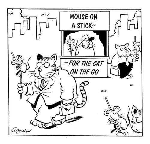 Mouse on A Stick...For a Cat on the Go