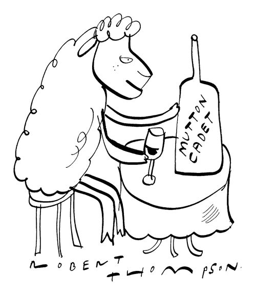 Sheep with wine - Mutton Cadet