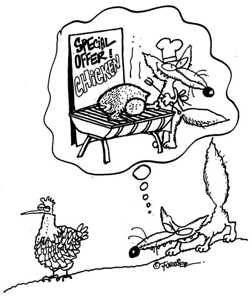 Fox dreams of catching chicken to sell on special offer