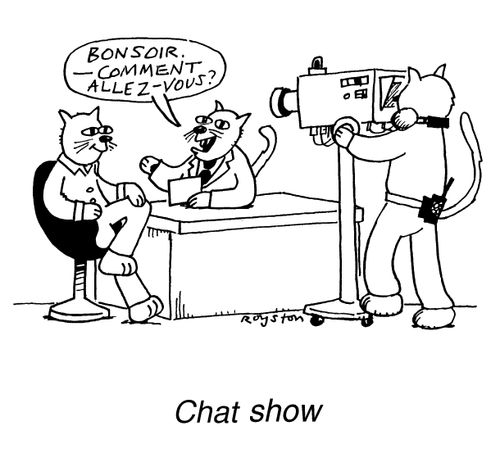 Chat Show, "Bonsoir. Comment Allez-Vous?"