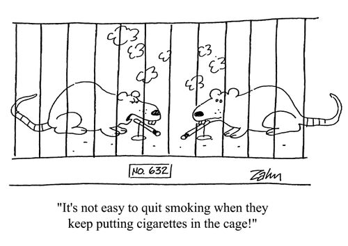 Lab smoking rats.