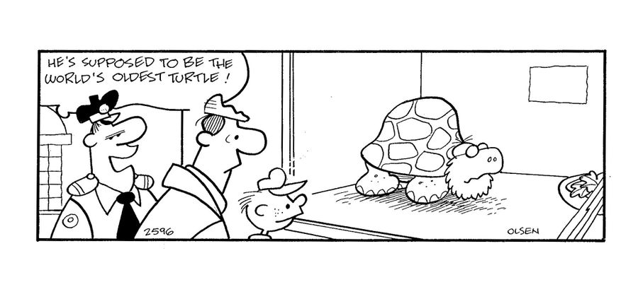 'He's supposed to be the world's oldest turtle!'