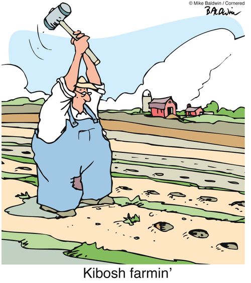 Kibosh farmin'