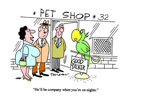 'He'll be company when you're on nights.'