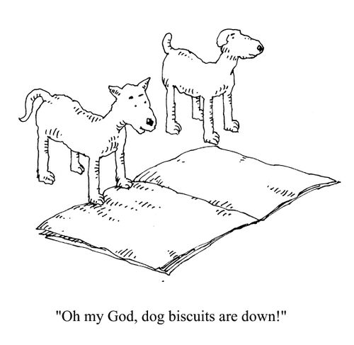 'Oh my God, dog biscuits are down!'