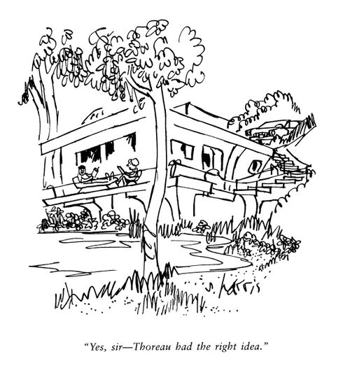 'Yes sir, Thoreau had the right idea.'