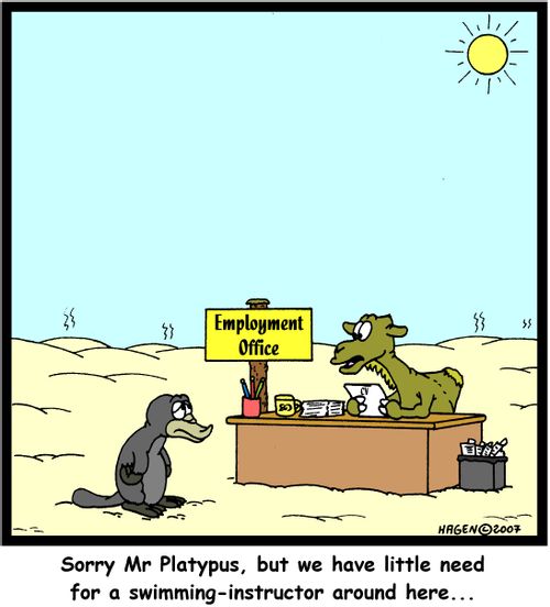 'Sorry Mr Platypus, but we have little need for a swimming-instructor around here...'