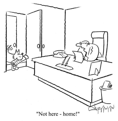 'Not here - home!'