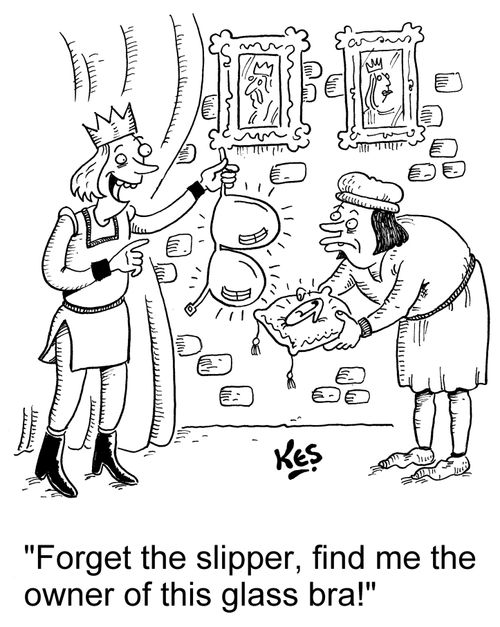 "Forget the slipper, find me the owner of this glass bra!"