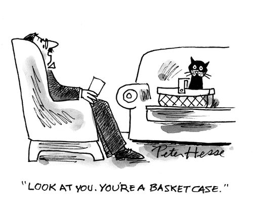 'Look at you. You're a basket case.'