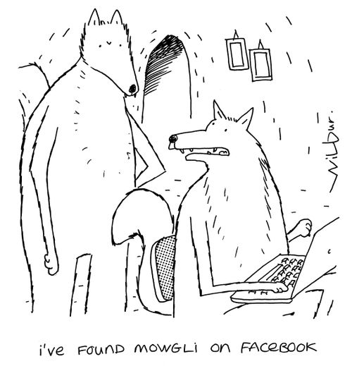 'I've found Mowgli on Facebook.'