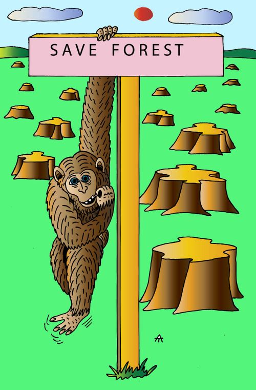Save forest