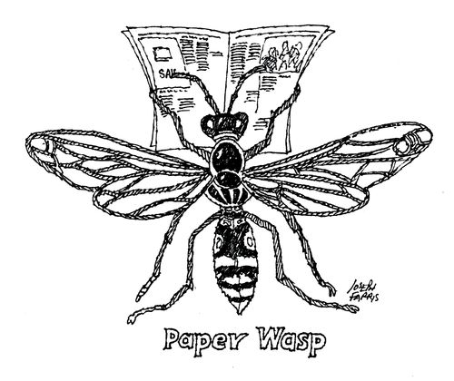 Paper Wasp.