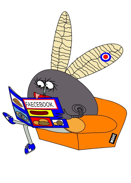 Faecebook Fly.