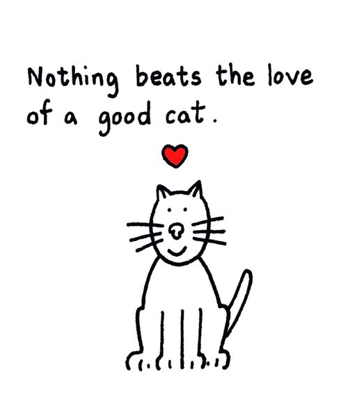 Nothing beats the love of a good cat.