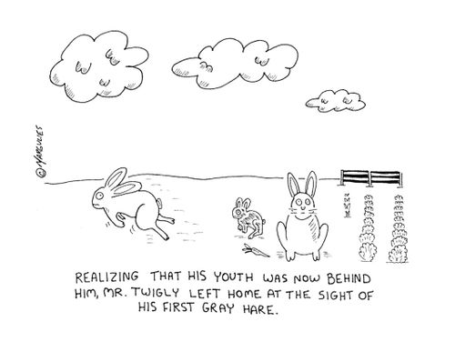 Realizing that his youth was now behind him, Mr. Twigly left home at the sight of his first gray hare.